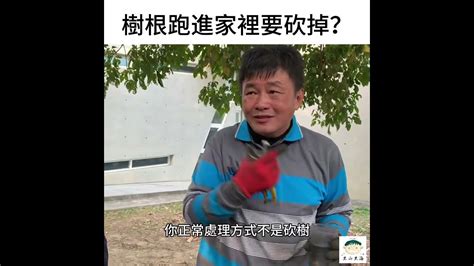 樹根長進家裡|樹根跑進家裡要怎麼處理？實用的冷知識，學起來！ 